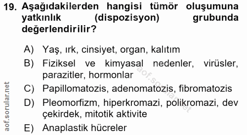 19. soru: Aşağıdakilerden hangisi tümör oluşumuna yatkınlık (dispozisyon) grubunda değerlendirilir? A) Yaş, ırk, cinsiyet, orga…