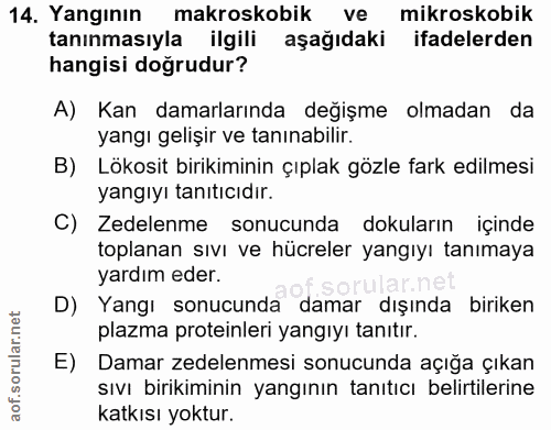14. soru: Yangının makroskobik ve mikroskobik tanınmasıyla ilgili aşağıdaki ifadelerden hangisi doğrudur? A) Kan damarlarında d…