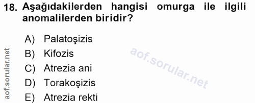 18. soru: Aşağıdakilerden hangisi omurga ile ilgili anomalilerden biridir? A) Paltoşizis B) Kifozis aof.sorular.ne C) Atrezia a…