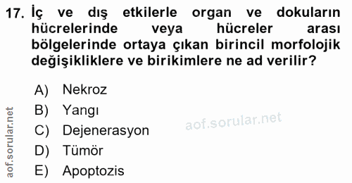 17. soru: İç ve dış etkilerle organ ve dokuların hücrelerinde veya hücreler arası bölgelerinde ortaya çıkan birincil morfolojik…