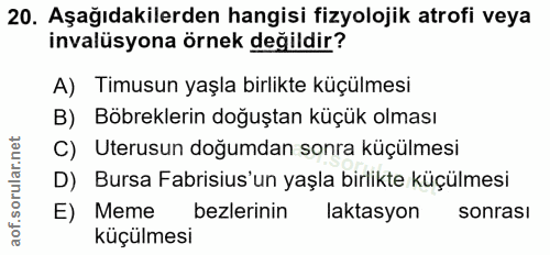20. soru: Aşağıdakilerden hangisi fizyolojik atrofi veya invalüsyona örnek değildir? A) Timusun yaşla birlikte küçülmesi B) Böb…