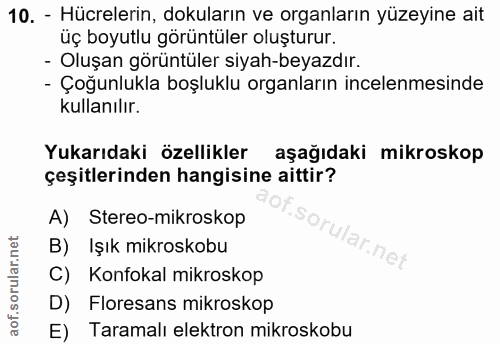 10. soru: - Hücrelerin, dokuların ve organların yüzeyine ait üç boyutlu görüntüler oluşturur. - Oluşan görüntüler siyah-beyazdı…