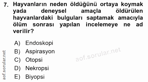 7. soru: Hayvanların neden öldüğünü ortaya koymak yada deneysel amaçla öldürülen hayvanlardaki bulguları saptamak amacıyla ölü…