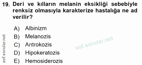 19. soru: Deri ve kılların melanin eksikliği sebebiyle renksiz olmasıyla karakterize hastalığa ne ad verilir? A) Albinizm B) Me…