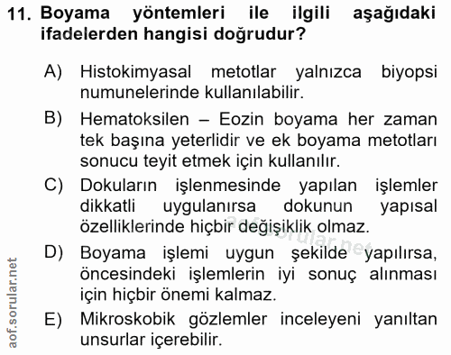 11. soru: Boyama yöntemleri ile ilgili aşağıdaki ifadelerden hangisi doğrudur? A) Histokimyasal metotlar yalnızca biyopsi numun…