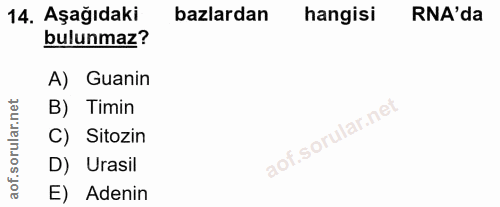 14. soru: Aşağıdaki bazlardan hangisi RA'da bulunmaz? A) Guanin B) Timin C) Sitozin D) Urasil E) Adenin