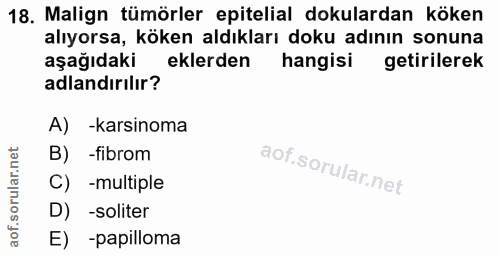18. soru: Malign tümörler epitelial dokulardan köken alıyorsa, köken aldıkları doku adının sonuna aşağıdaki eklerden hangisi ge…