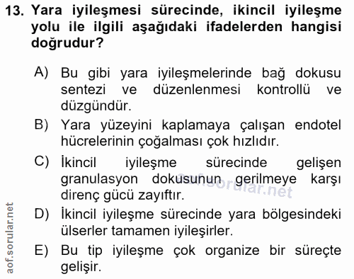 13. soru: Yara iyileşmesi sürecinde, ikincil iyileşme yolu ile ilgili aşağıdaki ifadelerden hangisi doğrudur? A) Bu gibi yara i…