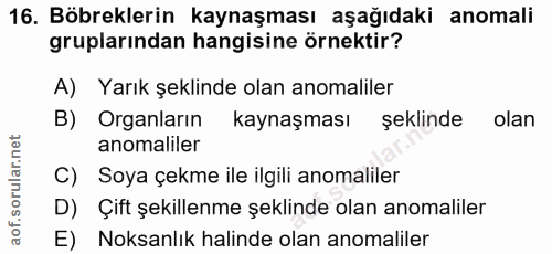 16. soru: Böbreklerin kaynaşması aşağıdaki anomali gruplarından hangisine örnektir? A) Yarık şeklinde olan anomaliler B) Organl…