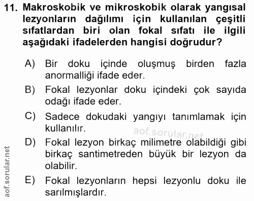 11. soru: Makroskobik ve mikroskobik olarak yangısal lezyonların dağılımı için kullanılan çeşitli sıfatlardan biri olan fokal s…