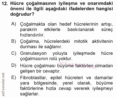 12. soru: Hücre çoğalmasının iyileşme ve onarımdaki önemi ile ilgili aşağıdaki ifadelerden hangisi doğrudur? A) Çoğalmakta olan…
