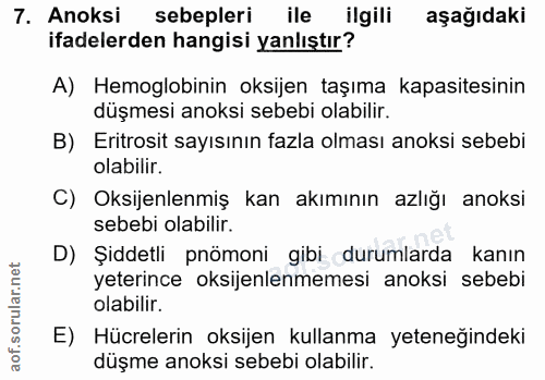 7. soru: Anoksi sebepleri ile ilgili aşağıdaki ifadelerden hangisi yanlıştır? A) Hemoglobinin oksijen taşıma kapasitesinin düş…