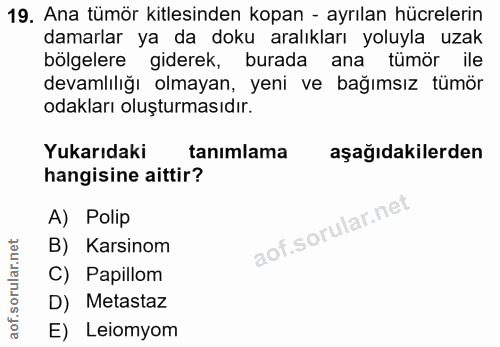 19. soru: Ana tümör kitlesinden kopan - ayrılan hücrelerin damarlar ya da doku aralıkları yoluyla uzak bölgelere giderek, burad…