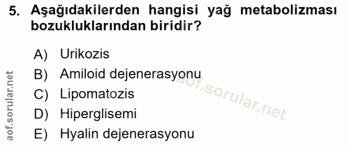 5. soru: Aşağıdakilerden hangisi yağ metabolizması bozukluklarından biridir? A) Urikozis B) Amiloid dejenerasyonu C) Lipomatoz…