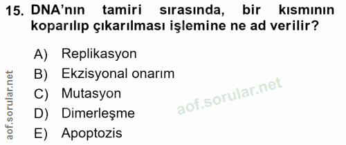 15. soru: DNA'nin tamiri sirasinda, bir kısmının koparılıp çıkarılması işlemine ne ad verilir? A) Replikasyon B) Ekzisyonal ona…