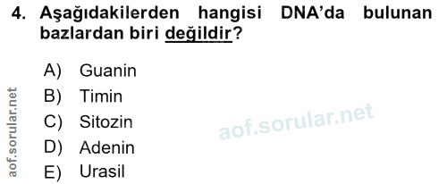 4. soru: Aşağıdakilerden hangisi DNA'da bulunan bazlardan biri değildir? A) Guanin B) Timin C) Sitozin D) Adenin E) Urasil