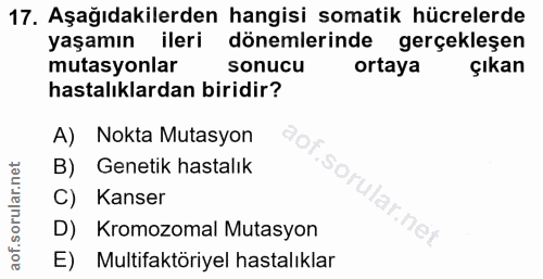 17. soru: Aşağıdakilerden hangisi somatik hücrelerde yaşamın ileri dönemlerinde gerçekleşen mutasyonlar sonucu ortaya çıkan has…