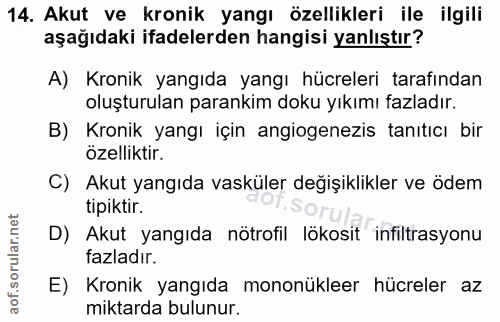14. soru: Akut ve kronik yangı özellikleri ile ilgili aşağıdaki ifadelerden hangisi yanlıştır? A) Kronik yangıda yangı hücreler…