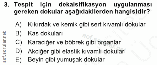 3. soru: Tespit için dekalsifikasyon uygulanması gereken dokular aşağıdakilerden hangisidir? A) Kıkırdak ve kemik gibi sert kı…