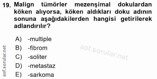 19. soru: Malign tümörler mezenşimal dokulardan köken alıyorsa, köken aldıkları doku adının sonuna aşağıdakilerden hangisi geti…