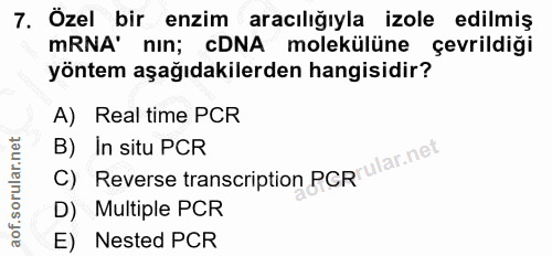 7. soru: Özel bir enzim aracılığıyla izole edilmiş mRNA' nın; cDNA molekülüne çevrildiği yöntem aşağıdakilerden hangisidir? A)…