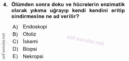 4. soru: Ölümden sonra doku ve hücrelerin enzimatik olarak yıkıma uğrayıp kendi kendini eritip sindirmesine ne ad verilir? A)…