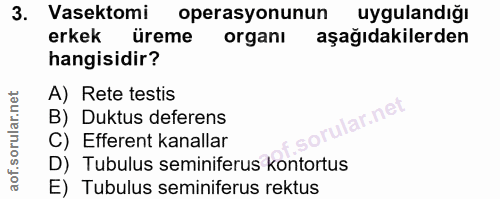 3. soru: Vasektomi operasyonunun uygulandığı erkek üreme organı aşağıdakilerden hangisidir? A) Rete testis lar.net B) Duktus d…