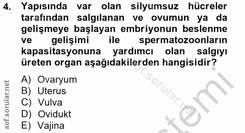 4. soru: Yapısında var olan silyumsuz hücreler tarafından salgılanan ve ovumun ya da gelişmeye başlayan embriyonun beslenme ve…