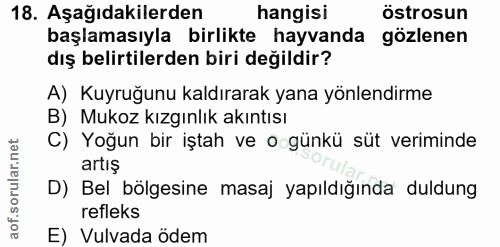 18. soru: Aşağıdakilerden hangisi östrosun başlamasıyla birlikte hayvanda gözlenen dış belirtilerden biri değildir? A) Kuyruğun…