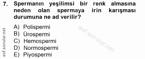 7. soru: Spermanın yeşilimsi bir renk almasına neden olan spermaya irin karışması durumuna ne ad verilir? A) Polispermi B) Üro…