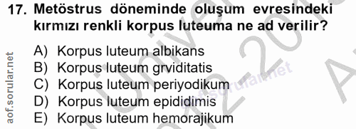 17. soru: Metöstrus döneminde oluşum evresindeki kırmızı renkli korpus luteuma ne ad verilir? A) Korpus luteum albikans B) Korp…