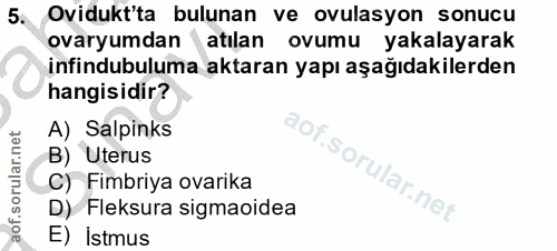 5. soru: Ovidukt'ta bulunan ve ovulasyon sonucu ovaryumdan atılan ovumu yakalayarak infindubuluma aktaran yapı aşağıdakilerden…