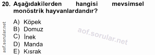 20. soru: Aşağıdakilerden hangisi mevsimsel monöstrik hayvanlardandır? A) Köpek B) Domuz C) Inek D) Manda E) Kısrak