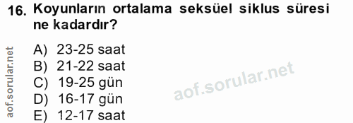 16. soru: Koyunların ortalama seksüel siklus süresi ne kadardır? A) 23-25 saat B) 21-22 saat C) 19-25 gún D) 16-17 gün E) 12-17…