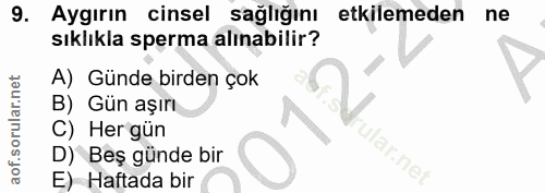 9. soru: Aygırın cinsel sağlığını etkilemeden ne sıklıkla sperma alınabilir? A) Günde birden çok B) Gün aşırı C) Her gün ular.…