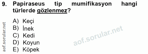 9. soru: Papiraseus tip mumifikasyon hangi türlerde gözlenmez? A) Keçi B) Inek C) Kedi D) Koyun E) Köpek