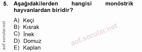 5. soru: Aşağıdakilerden hangisi monöstrik hayvanlardan biridir? A) Keçi B) Kısak C) Inek D) Domuz E) Kaplan