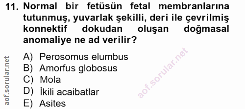 11. soru: Normal bir fetüsün fetal membranlarına tutunmuş, yuvarlak şekilli, deri ile çevrilmiş konnektif dokudan oluşan doğmas…