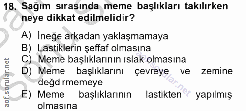 18. soru: Sağım sırasında meme başlıkları takılırken neye dikkat edilmelidir? A) İneğe arkadan yaklaşmamaya B) Lastiklerin şeff…