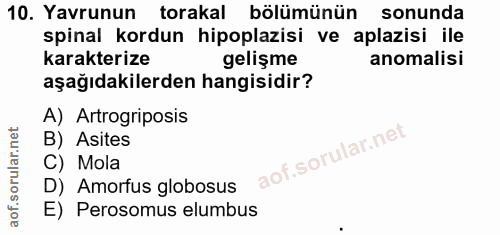 10. soru: Yavrunun torakal bölümünün sonunda spinal kordun hipoplazisi ve aplazisi ile karakterize gelişme anomalisi aşağıdakil…