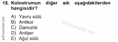 15. soru: Kolostrumun diğer adı aşağıdakilerden hangisidir? A) Yavru sütü B) Antikor C) Damızlık D) Antijen E) Ağız sütü