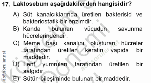17. soru: Laktosebum aşağıdakilerden hangisidir? A) Süt kanalcıklarında üretilen bakterisid ve bakteriostatik bir enzimdir. B)…
