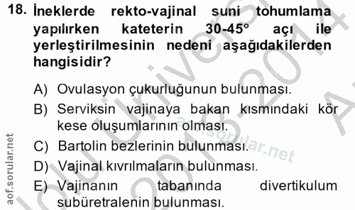 18. soru: İneklerde rekto-vajinal suni tohumlama yapılırken kateterin 30-45° açı ile yerleştirilmesinin nedeni aşağıdakilerden…
