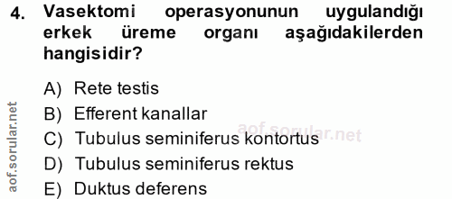 4. soru: Vasektomi operasyonunun uygulan diğı erkek üreme organı aşağıdakilerden hangisidir? A) Rete testis B) Efferent kanall…