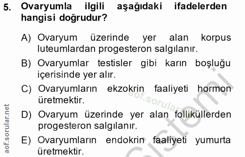 5. soru: Ovaryumla ilgili aşağıdaki ifadelerden hangisi doğrudur? A) Ovaryum üzerinde yer alan i korpus lutumlardan progestero…