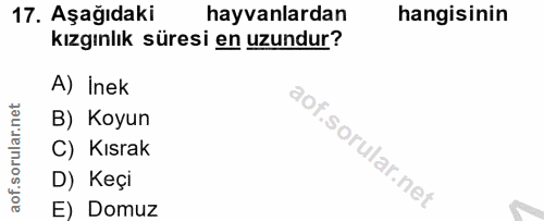 17. soru: Aşağıdaki hayvanlardan hangisinin kızgınlık süresi en uzundur? A) Inek B) Koyun C) Kısrak D) Keçi E) Domuz