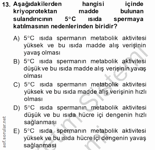 13. soru: Aşağıdakilerden hangisi içinde kriyoprotektan madde bulunan sulandırıcının 5° C isida spermaya katılmasının nedenleri…