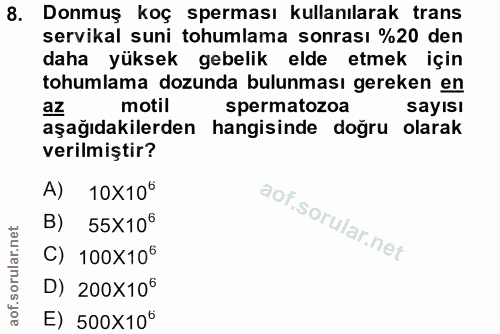 8. soru: Donmuş koç sperması kullanılarak trans servikal suni tohumlama sonrası %20 den daha yüksek gebelik elde etmek için to…