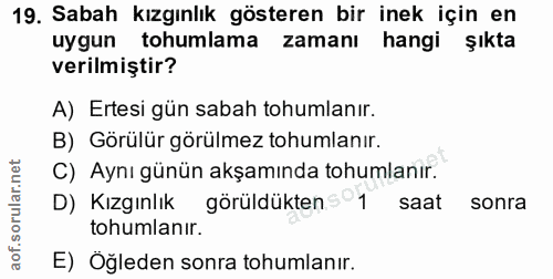 19. soru: Sabah kızgınlık gösteren bir inek için en uygun tohumlama zamanı hangi şıkta verilmiştir? A) Ertesi gün sabah tohumla…