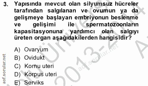 3. soru: Yapısında mevcut olan silyumsuz hücreler tarafından salgilanan ve ovumun ya da gelişmeye başlayan embriyonun beslenme…